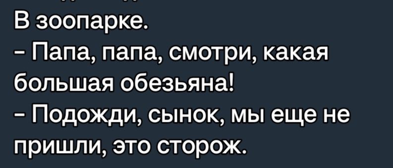 В зоопарке Папа папа смотри какая большая обезьяна Подожди сынок мы еще не пришли это сторож