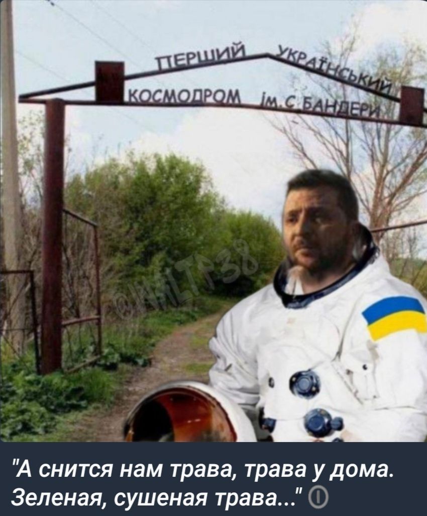 А снится нам трава трава удома Зеленая суше ная трава О