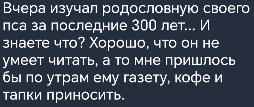 Вчера изучал родословную своего пса за последние 300 лет И знаете что Хорошо что он не умеет читать а то мне пришлось бы по утрам ему газету кофе и тапки приносить