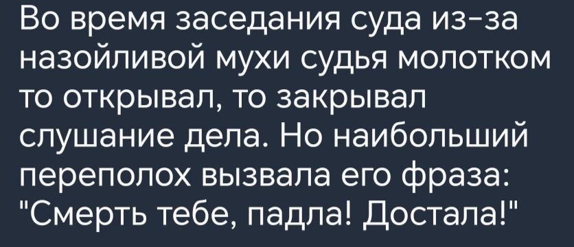 Во время заседания суда из за назойливой мухи судья молотком то открывал то закрывал слушание дела Но наибольший переполох вызвала его фраза Смерть тебе падпа Достала