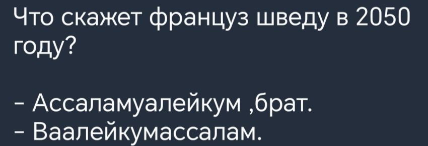 Что скажет француз шведу в 2050 году Ассаламуапейкум брат Ваалейкумассапам