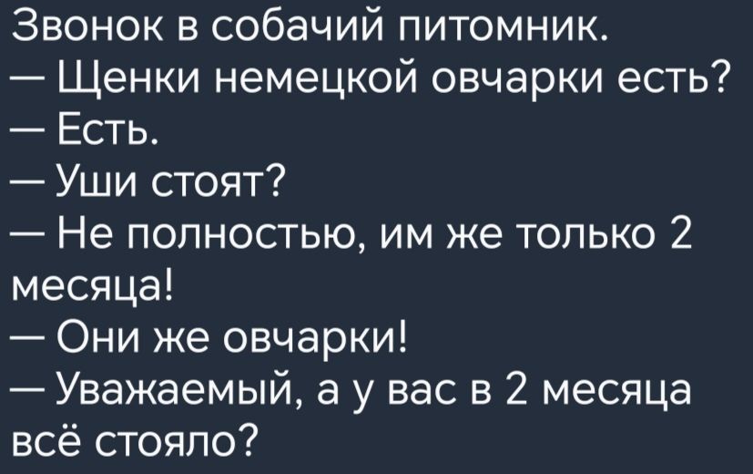 Звонок в собачий питомник Щенки немецкой овчарки есть Есть Уши стоят Не полностью им же только 2 месяца Они же овчарки Уважаемый а у вас в 2 месяца всё стояло