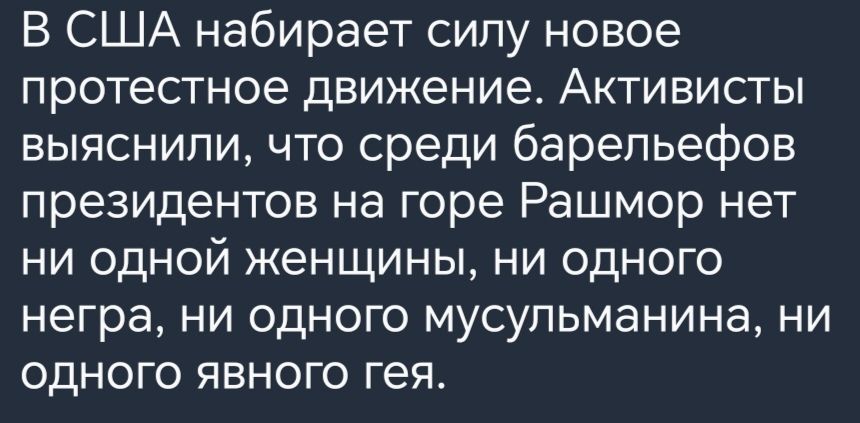 в США набирает силу новое протестное движение Активисты выяснили что среди барельефов президентов на горе Рашмор нет ни одной женщины ни одного негра ни одного мусульманина ни одного явного геят