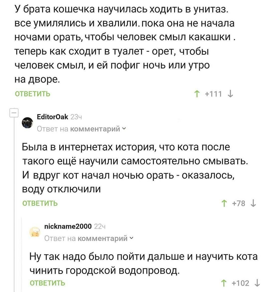 У брата кошечка научилась ходить в унитаз все умипяпись и хвапипилска она не начала ночами орать чтобы человек смыл какашки теперь как сходит в туалет _ орет чтобы человек смып и ей пофиг ночь или утро на дворе топить т щ видимо к Была В интернетах ИСТОРИЯ ЧТО кота ПОСЛЕ такого ещё научили самостоятельно смывать И вдруг КОТ начал НОЧЬЮ орать ОКЭЗЭПОСЬ воду ОТКЛЮЧИЛИ ответить пісіпнтеітп Ну так над