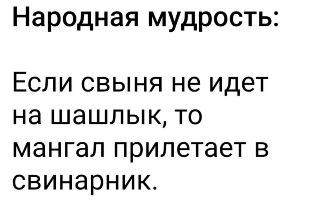 Народная мудрость Если свыня не идет на шашлык то мангал прилетает в свинарник