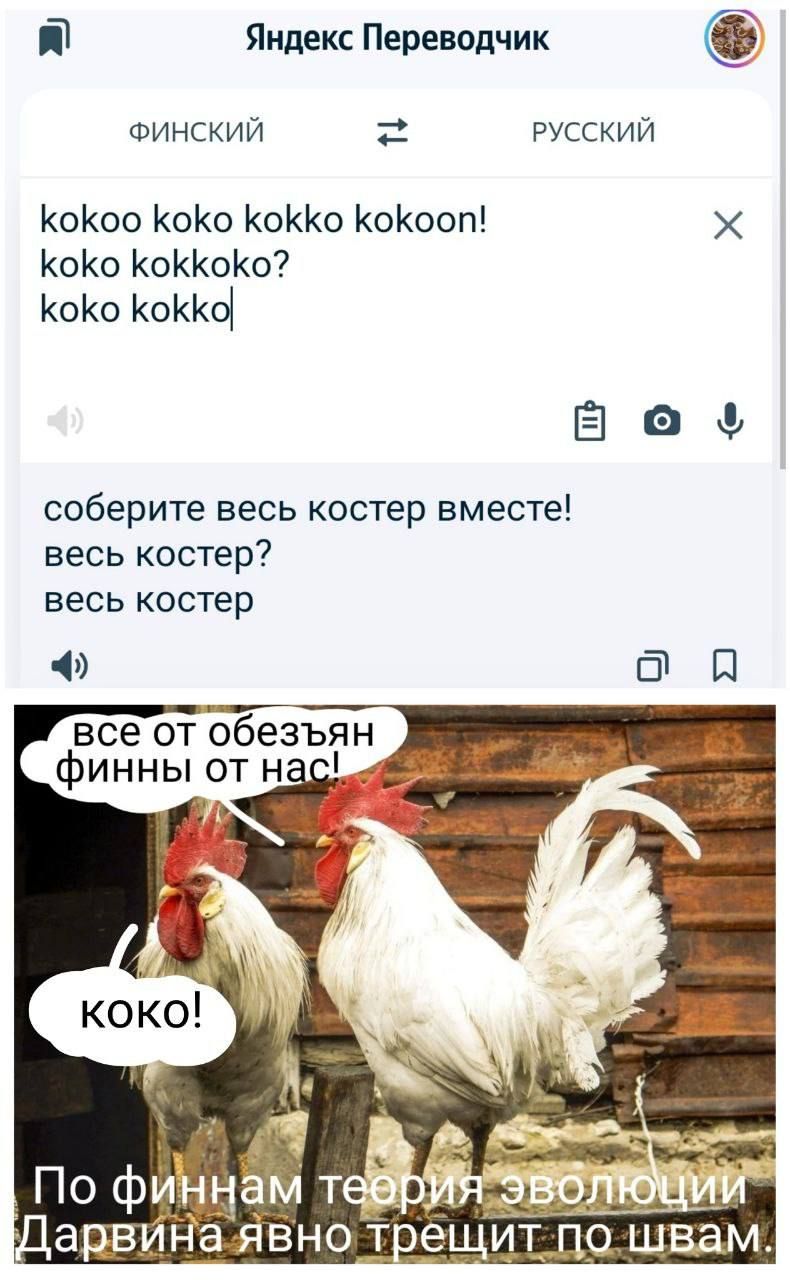 іі Яндекс Переводчик ФИНСКИЙ РУССКИЙ КоКоо КоКо КоККо КоКооп КОКО КоККоКо КоКо КоККо Ё соберите весь костер вместе весь костер весь костер Ф все от обезьян финны от Н