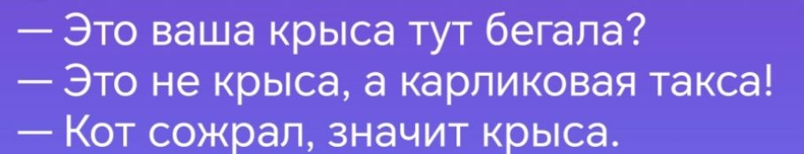 Это ваша крыса тут бегала Это не крыса а карликовая такса Кот сожрал значит крыса