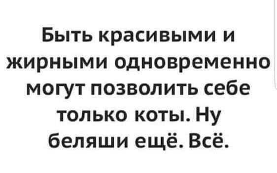 Быть красивыми и жирными одновременно могут позволить себе только коты Ну беляши ещё Всё