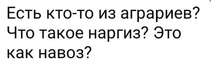 Есть кто то из аграриев Что такое наргиз Это как навоз