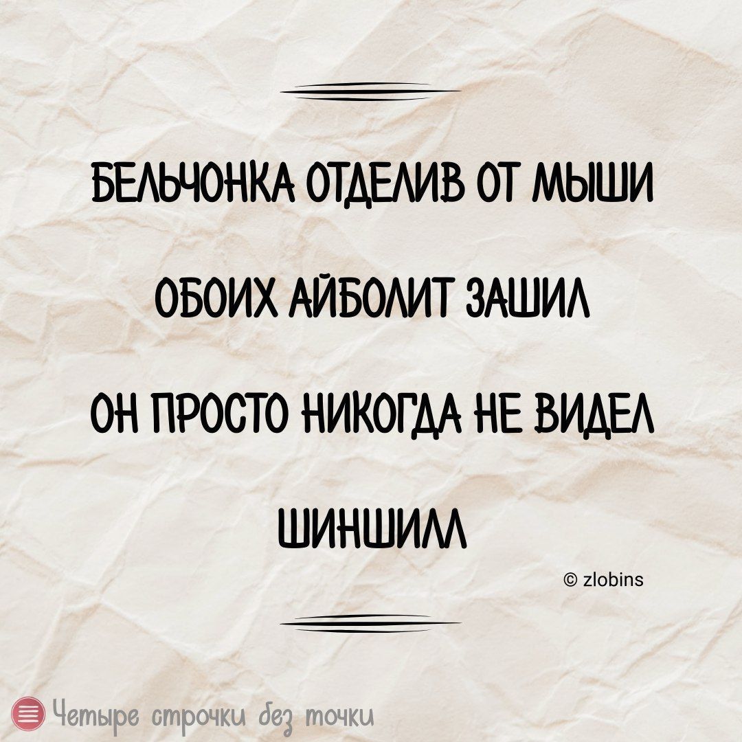 БЕЛЬЧОНКА ОТДЕЛИВ ОТ МЫШИ ОБОИХ АЙБОЛИТ ЗАШИЛ ОН ПРОСТО НИКОГДА НЕ ВИДЕЛ ШИНШИЛЛ 20615