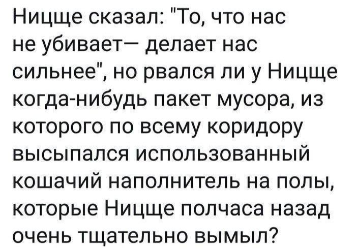 Ницще сказал То что нас не убивает делает нас сильнее но рвался ли у Ницще когда нибудь пакет мусора из которого по всему коридору высыпался использованный кошачий наполнитель на полы которые Ницще полчаса назад очень тщательно вымыл