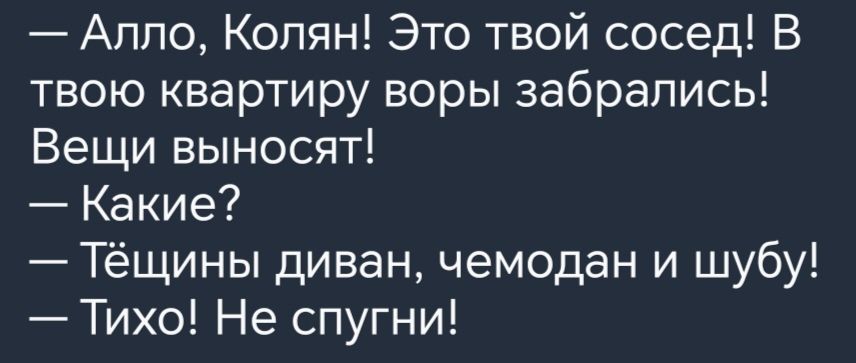 Алло Колян Это твой сосед В твою квартиру воры забрались Вещи выносят Какие Тёщины диван чемодан и шубу Тихо Не спугни