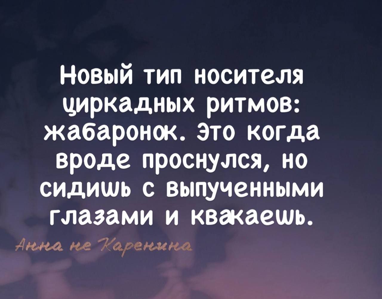 Новый тип носителя чиркадных ритмов жабаронок Это когда вроде проснулся но сидишь с выпученными глазами и квакаешь Ина на Коренмиа