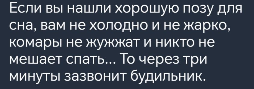 Если вы нашли хорошую позу для сна вам не холодно и не жарко комары не жужжат и никто не мешает спать То через три минуты зазвонит будильник