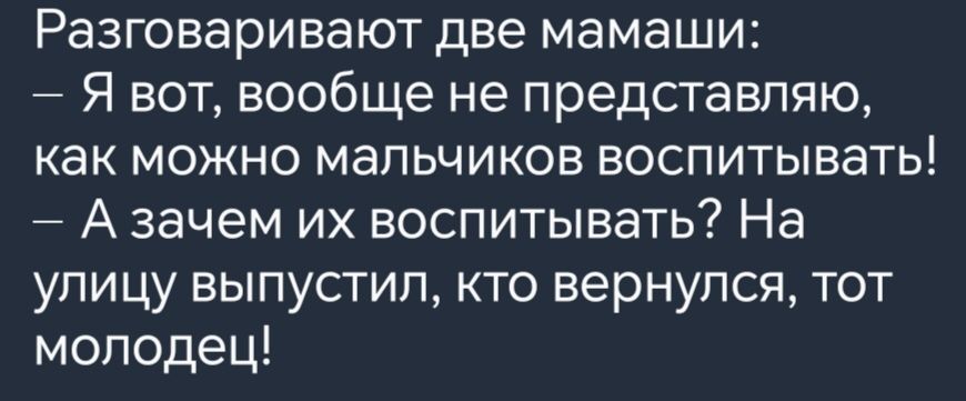 Разговаривают две мамаши Я вот вообще не представляю как можно мальчиков воспитывать Азачем их воспитывать На улицу выпустил кто вернулся тот молодец