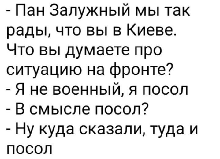 Пан Залужный мы так рады что вы в Киеве Что вы думаете про ситуацию на фронте Я не военный я посол В смысле посол Ну куда сказали туда и посол