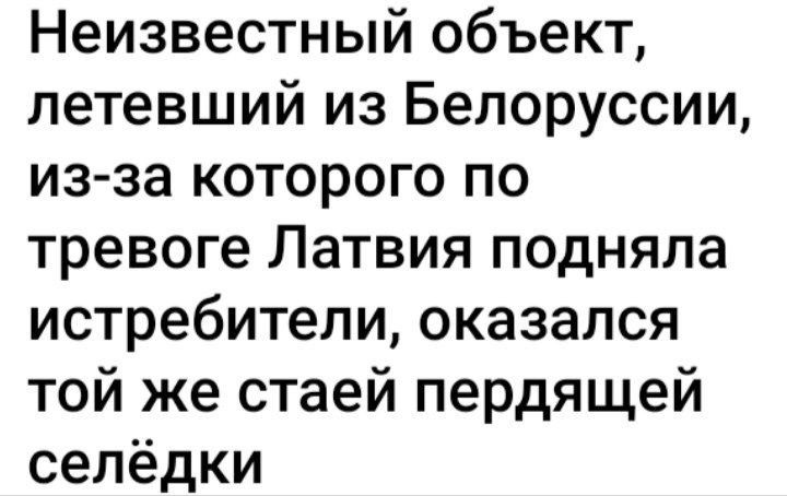 Неизвестный объект летевший из Белоруссии из за которого по тревоге Латвия подняла истребители оказался той же стаей пердящей селёдки