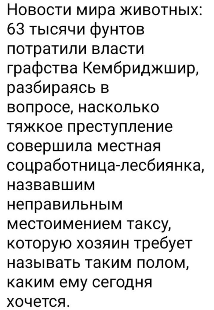 Новости мира животных 63 тысячи фунтов потратили власти графства Кембриджшир разбираясь в вопросе насколько тяжкое преступление совершила местная соцработница лесбиянка назвавшим неправильным местоимением таксу которую хозяин требует называть таким полом каким ему сегодня хочется