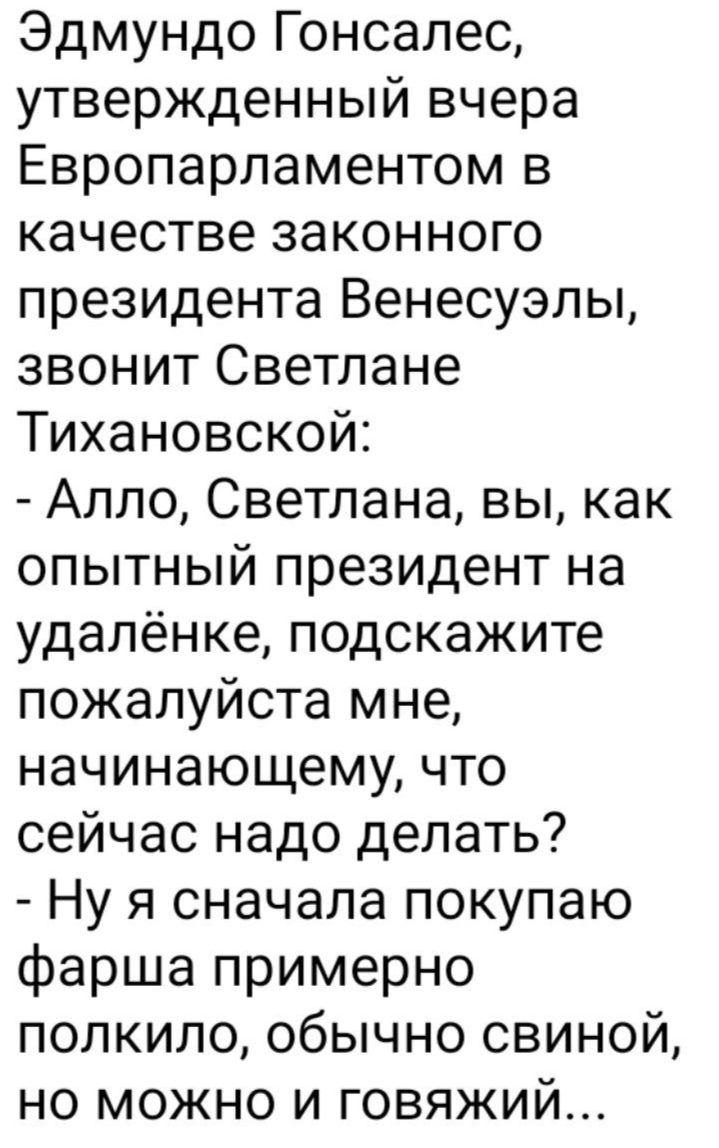 Эдмундо Гонсалес утвержденный вчера Европарламентом в качестве законного президента Венесуэлы звонит Светлане Тихановской Алло Светлана вы как опытный президент на удалёнке подскажите пожалуйста мне начинающему что сейчас надо делать Ну я сначала покупаю фарша примерно полкило обычно свиной но можно и говяжий