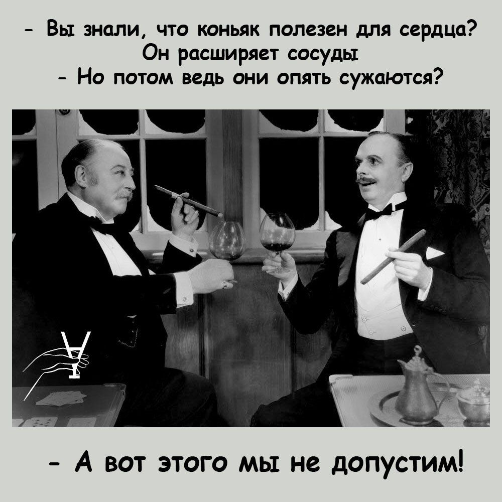 Вы знали что коньяк полезен для сердца Он расширяет сосуды Но потом ведь они опять сужаются А вот этого мы не дОПСТИМ