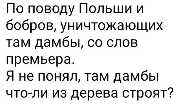 По поводу Польши и бобров уничтожающих там дамбы со слов премьера Я не понял там дамбы что ли из дерева строят