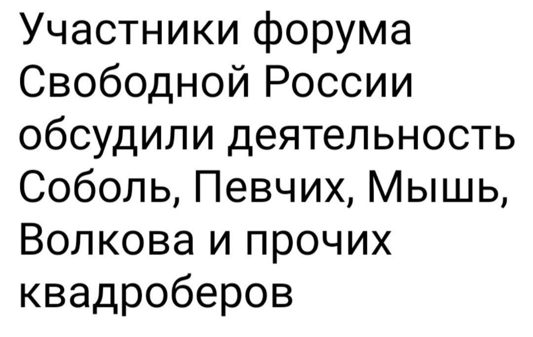 Участники форума Свободной России обсудили деятельность Соболь Певчих Мышь Волкова и прочих квадроберов