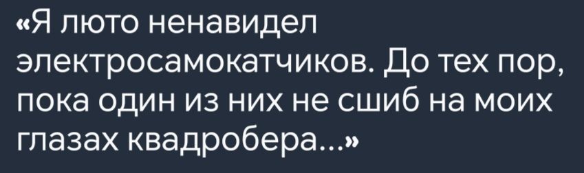 Я люто ненавидел электросамокатчиков До тех пор пока один из них не сшиб на моих глазах квадробера