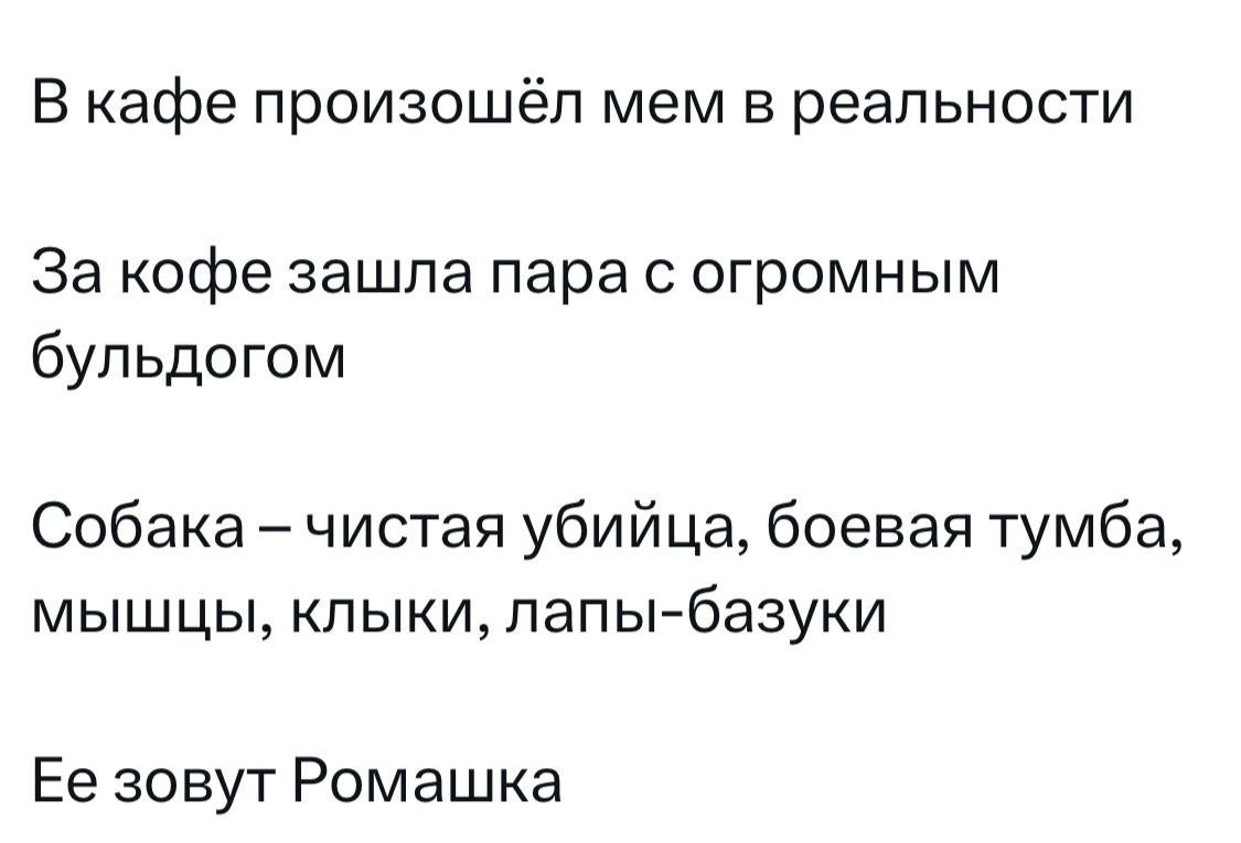 В кафе произошёл мем в реальности За кофе зашла пара с огромным бульдогом Собака чистая убийца боевая тумба мышцы клыки лапы базуки Ее зовут Ромашка