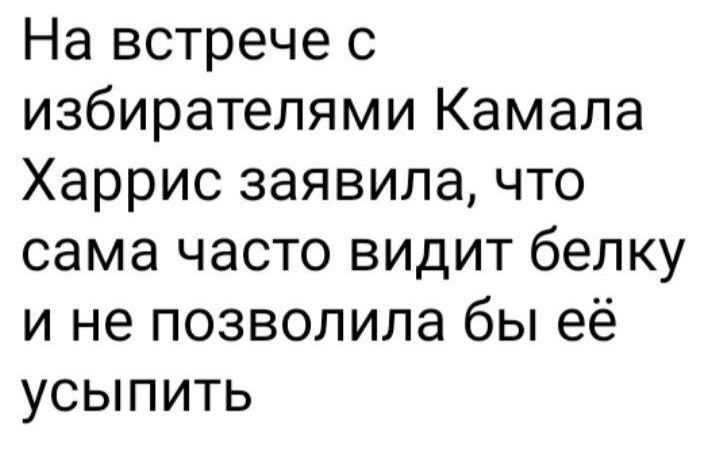 На встрече с избирателями Камала Харрис заявила что сама часто видит белку и не позволила бы её усыпить