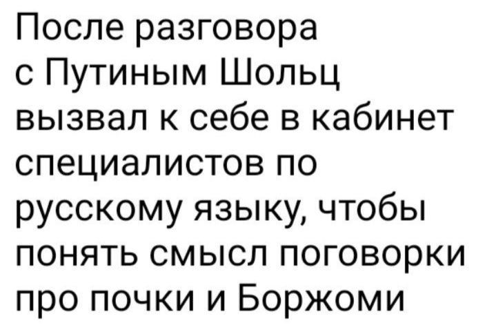 После разговора с Путиным Шольц вызвал к себе в кабинет специалистов по русскому языку чтобы понять смысл поговорки про почки и Боржоми