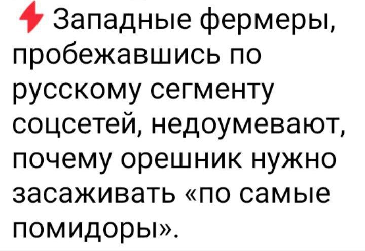 4 Западные фермеры пробежавшись по русскому сегменту соцсетей недоумевают почему орешник нужно засаживать по самые помидорьы