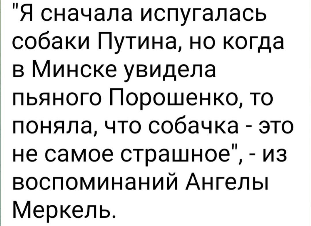 Я сначала испугалась собаки Путина но когда в Минске увидела пьяного Порошенко то поняла что собачка это не самое страшное из воспоминаний Ангелы Меркель