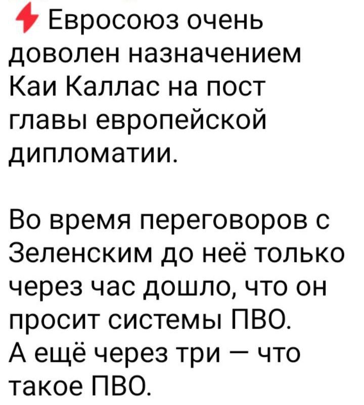 Евросоюз очень доволен назначением Каи Каллас на пост главы европейской дипломатии Во время переговоров с Зеленским до неё только через час дошло что он просит системы ПВО А ещё через три что такое ПВО