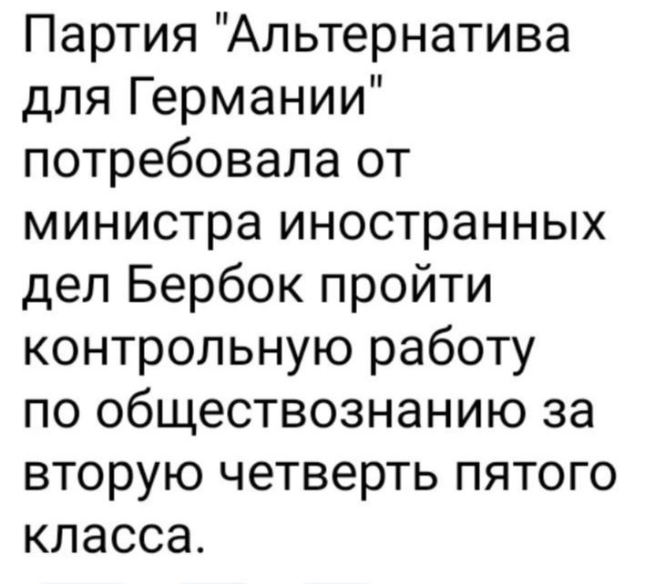 Партия Альтернатива для Германии потребовала от министра иностранных дел Бербок пройти контрольную работу по обществознанию за вторую четверть пятого класса