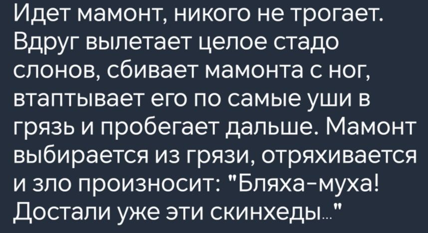 Идет мамонт никого не трогает Вдруг вылетает целое стадо слонов сбивает мамонта с ног втаптывает его по самые уши в грязь и пробегает дальше Мамонт выбирается из грязи отряхивается и зло произносит Бляха муха Достали уже эти скинхеды