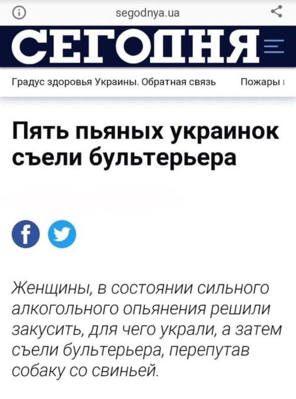 ведодпуаца СЕГОПНЯ Градус здоровья Украины Обратная связь Пожары Пять пьяных украинок съели бультерьера оо Женщины в СОстоянии сильного алкогольного опьянения решили закусить для чего украли а затем съели бультерьера перепутав собаку со свиньей