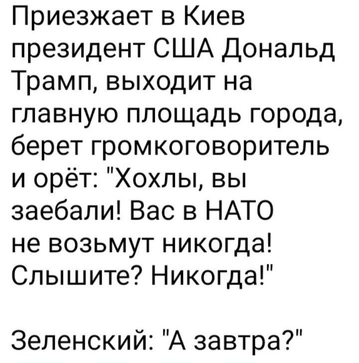 Приезжает в Киев президент США Дональд Трамп выходит на главную площадь города берет громкоговоритель и орёт Хохлы вы заебали Вас в НАТО не возьмут никогда Слышите Никогда Зеленский А завтра