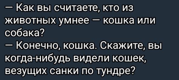 Как вы считаете кто из животных умнее кошка или собака Конечно кошка Скажите вы когда нибудь видели кошек везущих санки по тундре