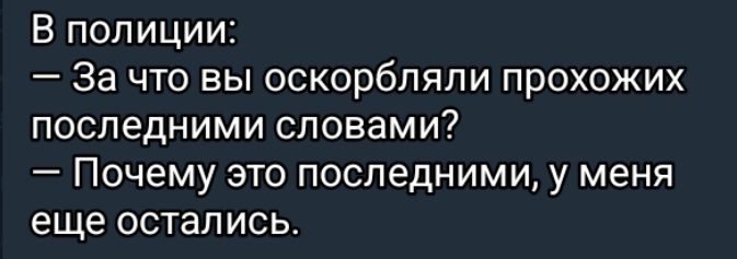 В полиции За что вы оскорбляли прохожих последними словами Почему это последними у меня еще остались