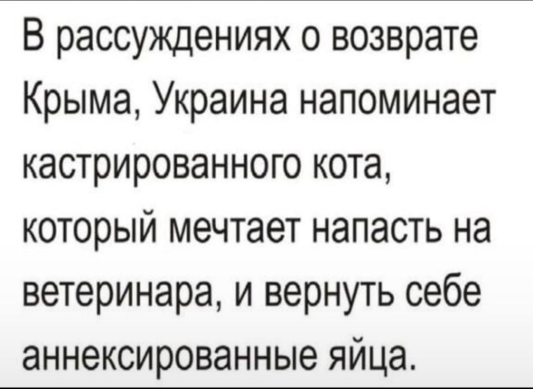 В рассуждениях о возврате Крыма Украина напоминает кастрированного кота который мечтает напасть на ветеринара и вернуть себе аннексированные яйца