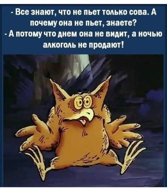 Все знают что не пьет только сова А почему она не пьет знаете А потому что днем она не видит а ночью алкоголь не продают