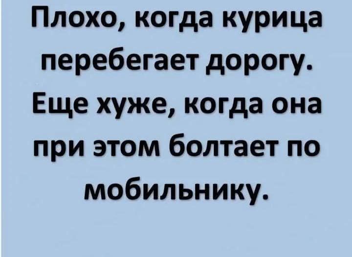 Плохо когда курица перебегает дорогу Еще хуже когда она при этом болтает по мобильнику