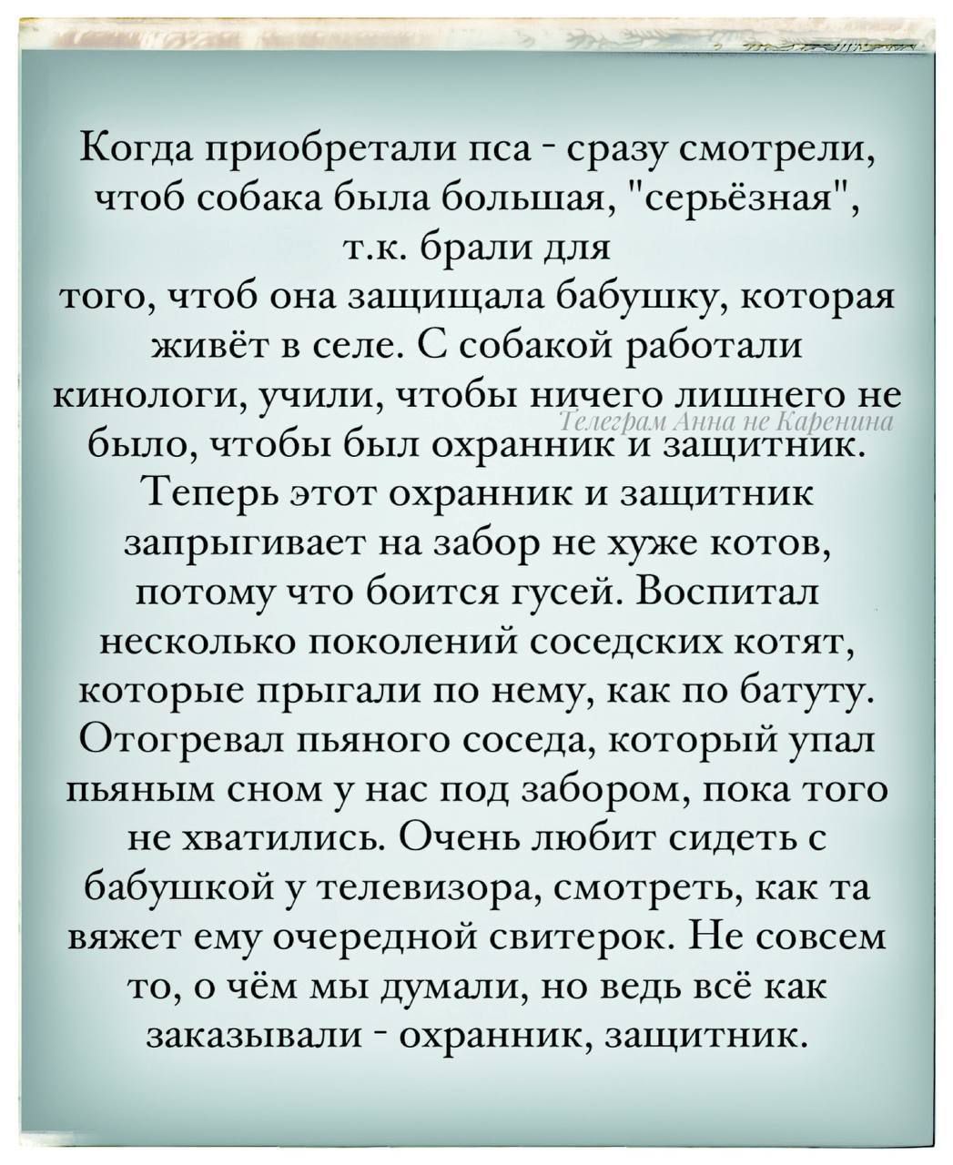 Когда приобретали пса сразу смотрели чтоб собака была большая серьёзная т к брали для того чтоб она защищала бабушку которая живёт в селе С собакой работали кинологи учили чтобы ничего лишнего не было чтобы был охранник и защитник Теперь этот охранник и защитник запрыгивает на забор не хуже котов потому что боится гусей Воспитал несколько поколений