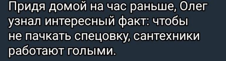 Придя домой на час раньше Олег узнал интересный факт чтобы не пачкать спецовку сантехники работают голыми