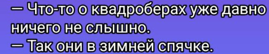 толто ло квадроберахужедавно ничегонеслышно акони в зимнейспячке