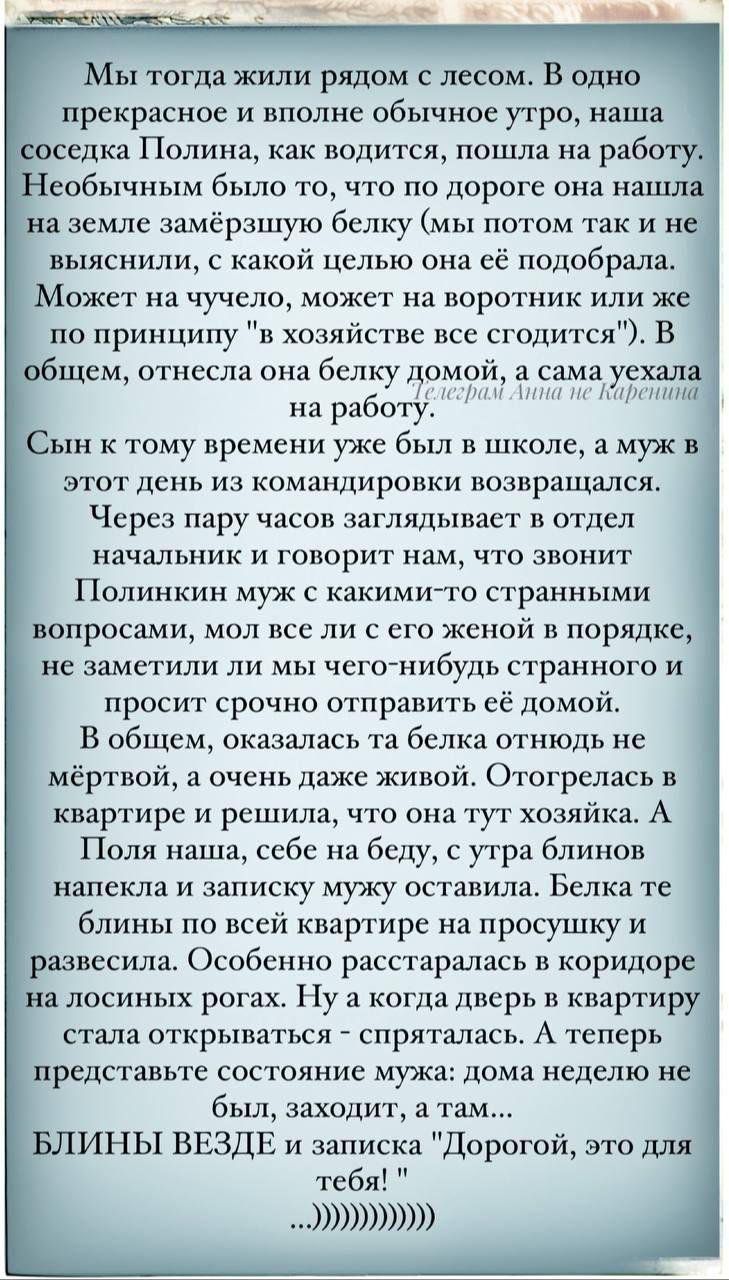 Мы тогда жили рядом с лесом В одно прекрасное и вполне обычное утро наша соседка Полина как водится пошла на работу Необычным было то что по дороге она нашла на земле замёрзшую белку мы потом так и не выяснили с какой целью она её подобрала Может на чучело может на воротник или же по принципу в хозяйстве все сгодится В общем отнесла она белку домой