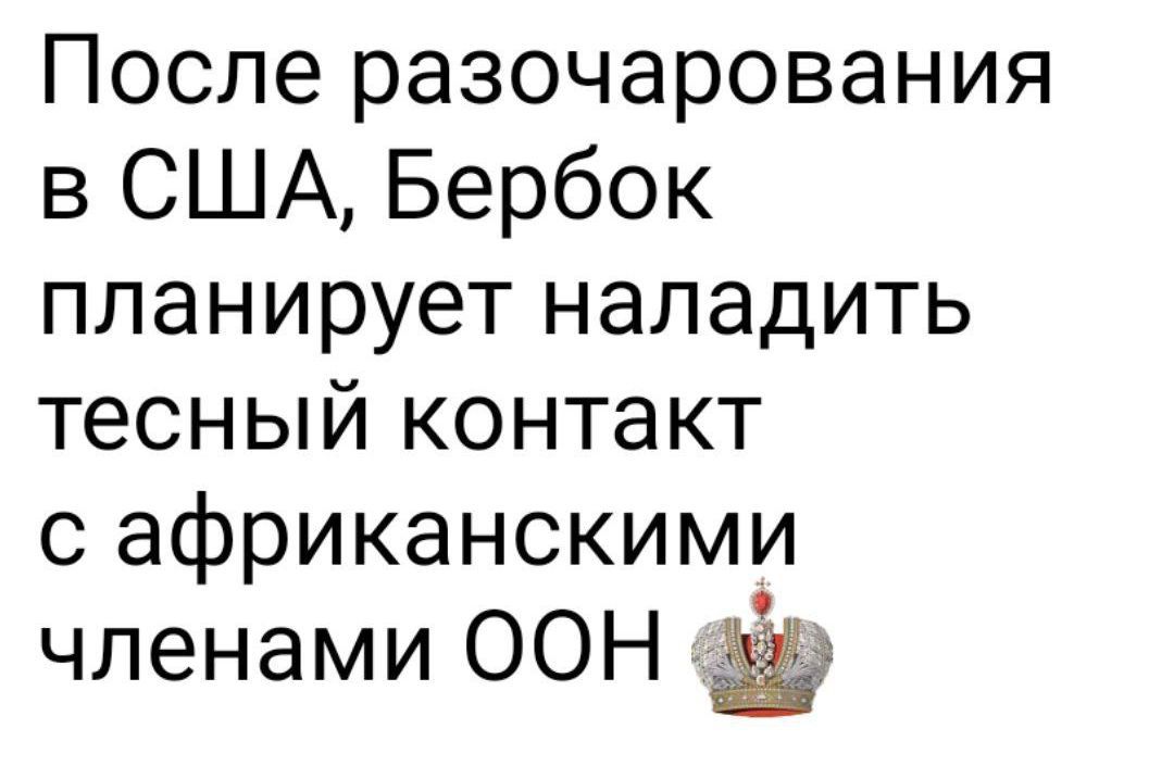 После разочарования в США Бербок планирует наладить тесный контакт с африканскими членами ООН