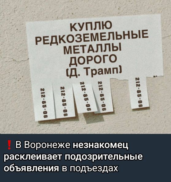 КУПЛЮ РЕДКОЗЕМЕЛЬНЫЕ МЕТАЛЛЫ ДОРОГО В Воронеже незнакомец расклеивает подозрительные объявления в подъездах