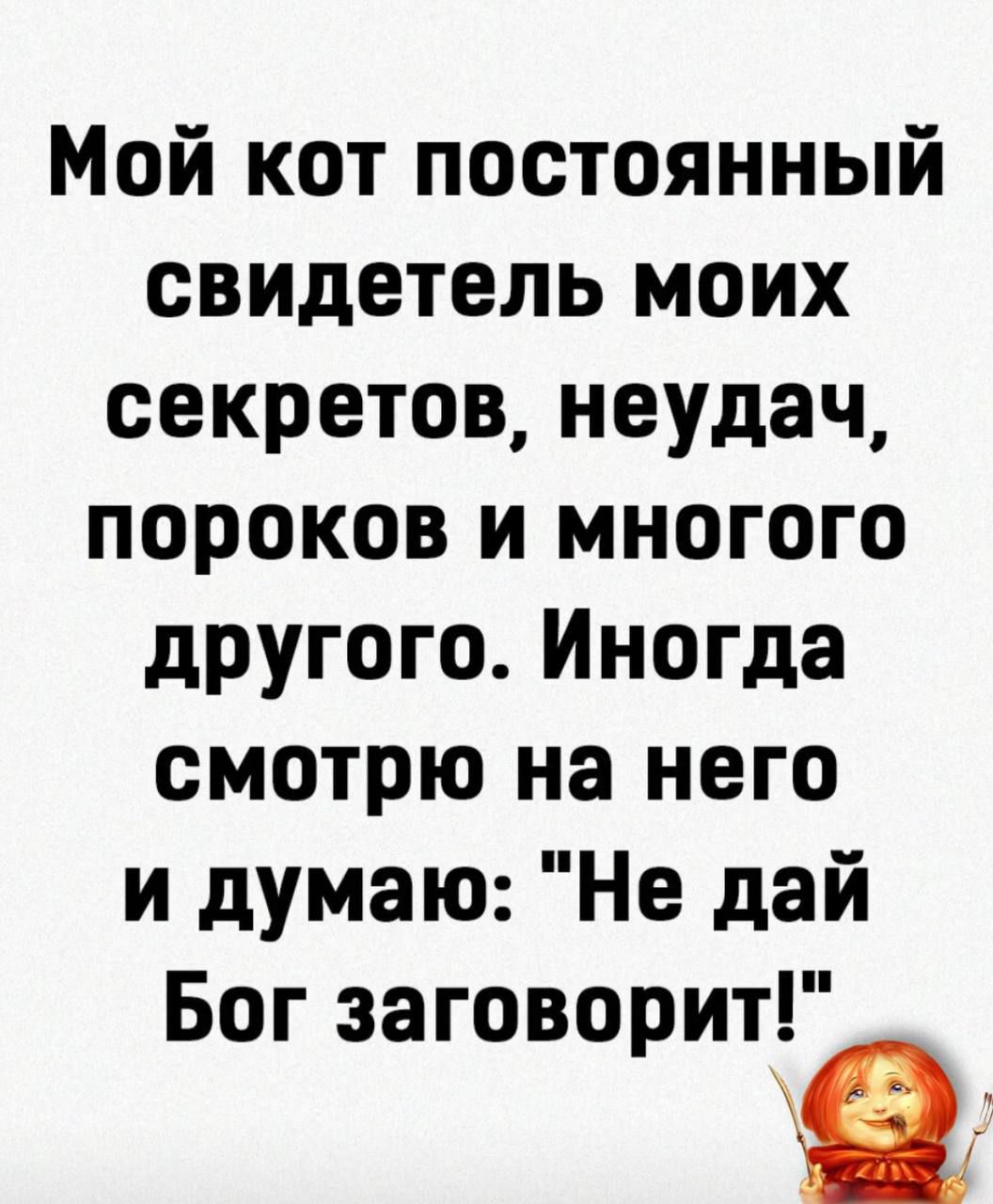 Мой кот постоянный свидетель моих секретов, неудач, пороков и многого другого. Иногда смотрю на него и думаю: 