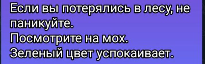 Если вы потерялись в лесу, не паникуйте. Посмотрите на мох. Зеленый цвет успокаивает.